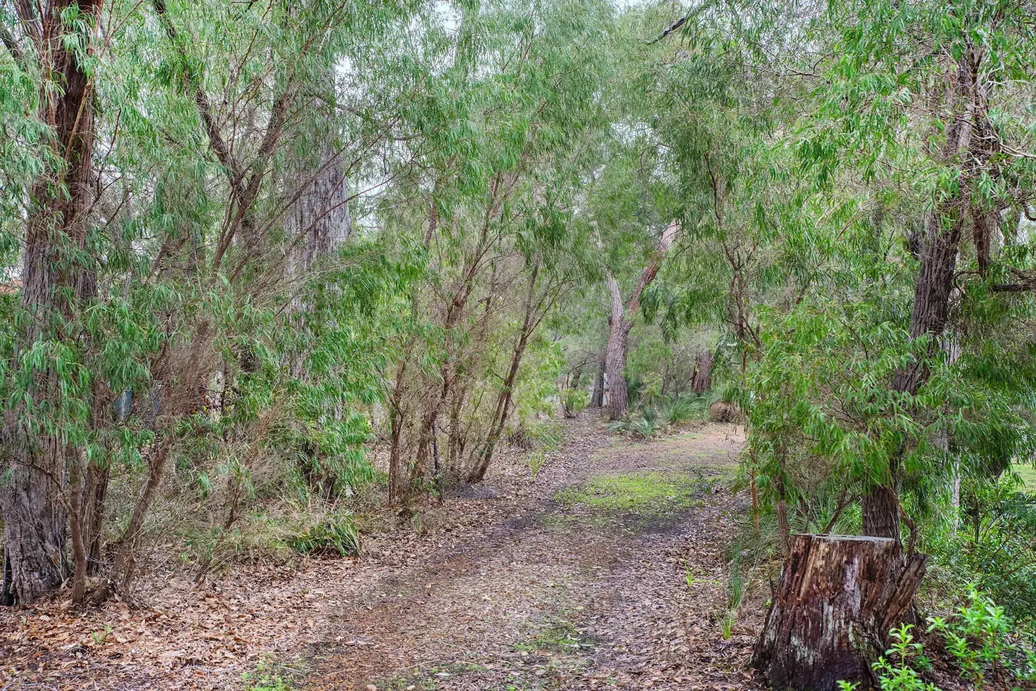 Main view of Homely land listing, 17 Flora Grove, Molloy Island WA 6290