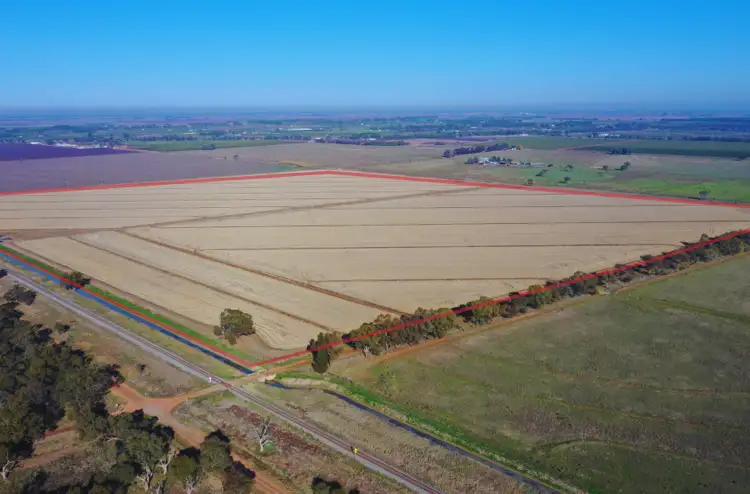 Farm 1014 Senti Road, Leeton NSW 2705