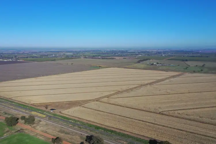 Second view of Homely rural property listing, Farm 1014 Senti Road, Leeton NSW 2705
