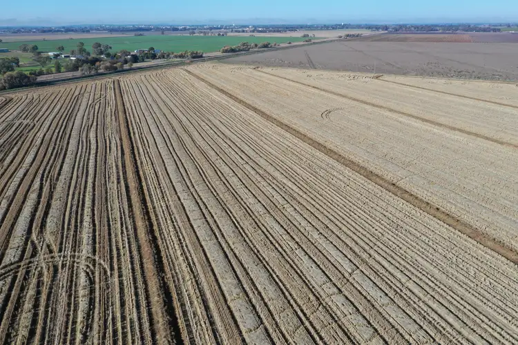Third view of Homely rural property listing, Farm 1014 Senti Road, Leeton NSW 2705