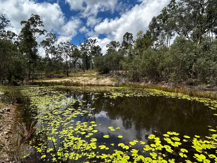 241 Bruxner Road, Drake NSW 2469