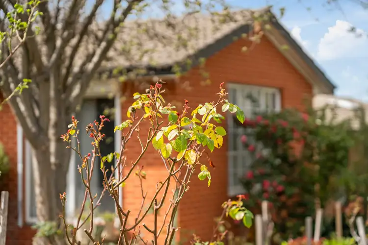 Fifth view of Homely house listing, 37 Jemalong Street, Duffy ACT 2611