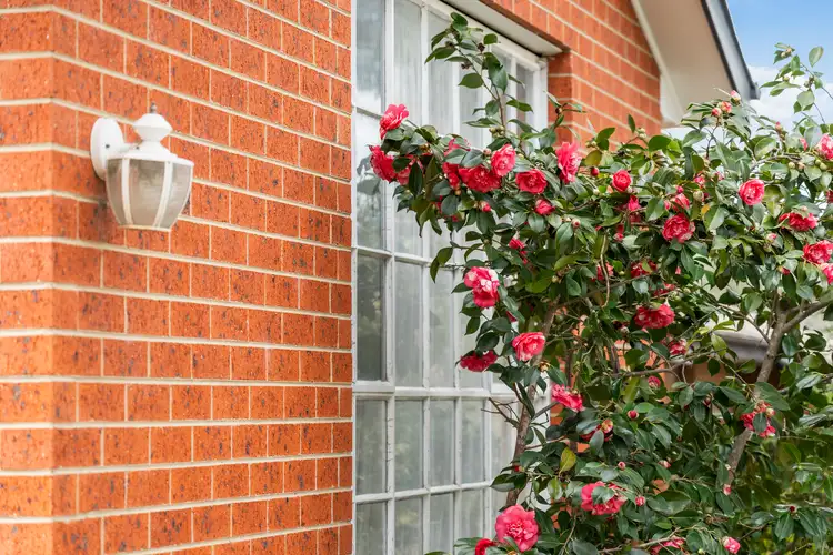 Sixth view of Homely house listing, 37 Jemalong Street, Duffy ACT 2611