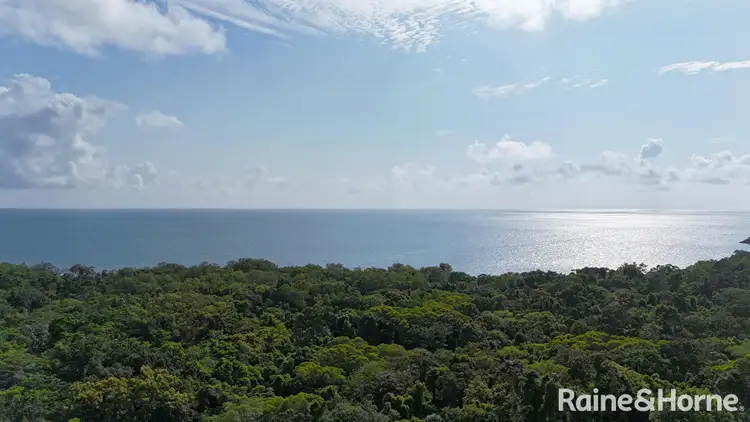 Lot 259 Silver Ash Road (Cow Bay), Daintree QLD 4873