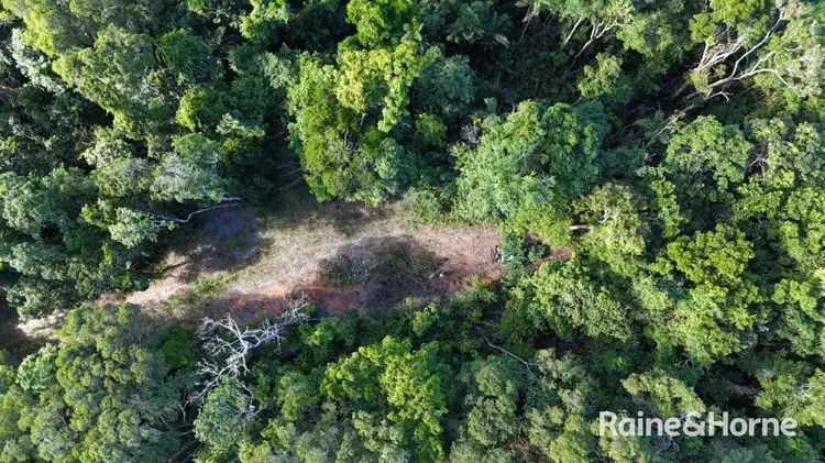 Second view of Homely land listing, Lot 259 Silver Ash Road (Cow Bay), Daintree QLD 4873