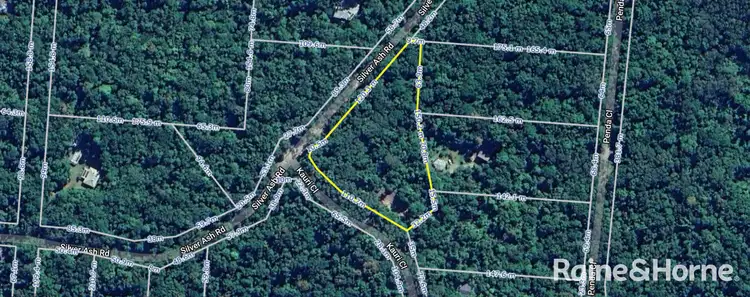 Fourth view of Homely land listing, Lot 259 Silver Ash Road (Cow Bay), Daintree QLD 4873