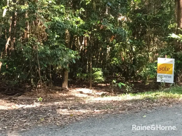Sixth view of Homely land listing, Lot 259 Silver Ash Road (Cow Bay), Daintree QLD 4873