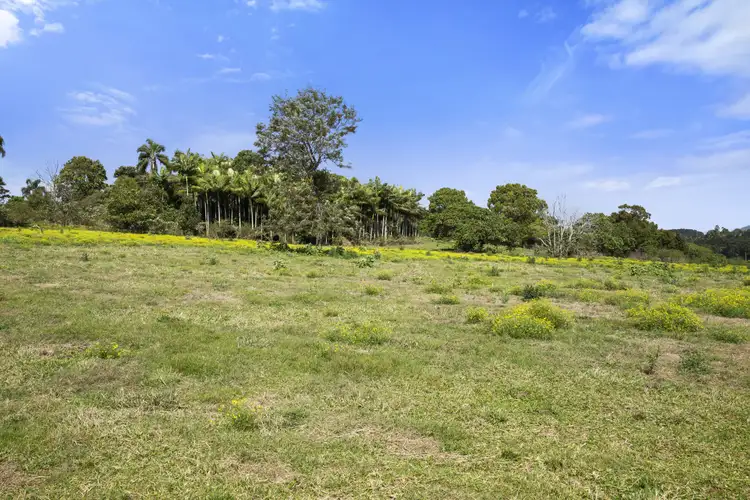 Sixth view of Homely land listing, 738 Cudgen Road, Cudgen NSW 2487