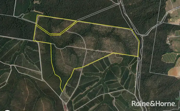Sixth view of Homely land listing, Lot 11 Mawhinney Road, Peachester QLD 4519