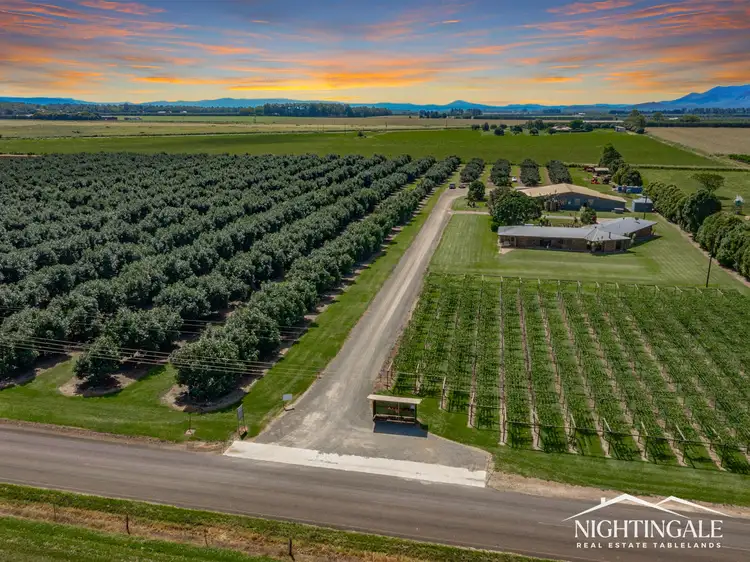 Main view of Homely rural property listing, 119 Beantree Road, Tolga QLD 4882