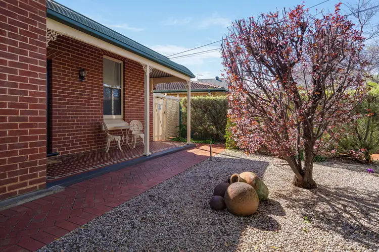 24 Cassie Street, Collinswood SA 5081