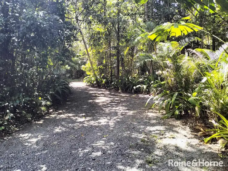 Fifth view of Homely house listing, 32 Nicole Drive, Cape Tribulation, Daintree QLD 4873