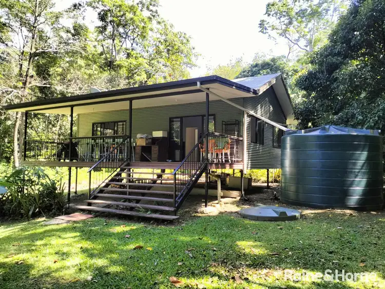 Seventh view of Homely house listing, 32 Nicole Drive, Cape Tribulation, Daintree QLD 4873
