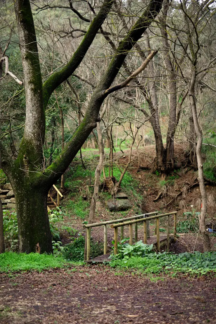 Fifth view of Homely land listing, 158 Waterfall Gully Road, Waterfall Gully SA 5066