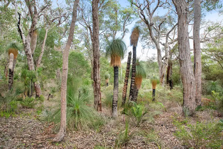 55 Sabina Drive, Molloy Island WA 6290