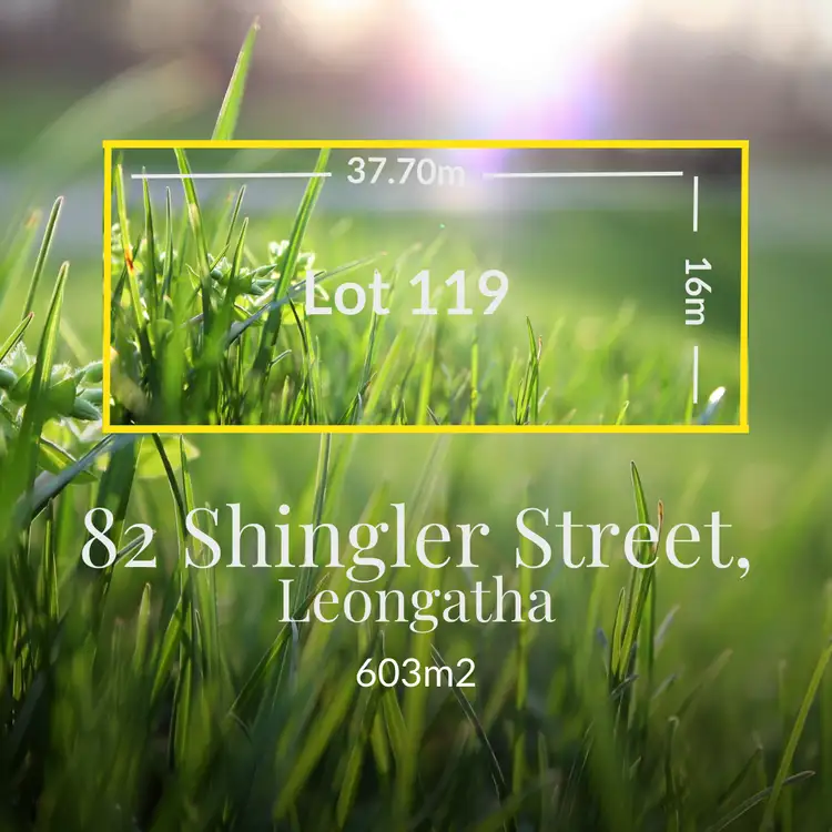 82 Shingler Street