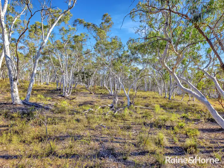 Lot 1 Hill End Road, Tambaroora NSW 2850