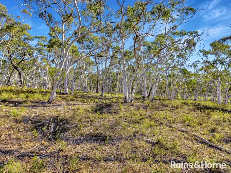 Third view of Homely land listing, Lot 1 Hill End Road, Tambaroora NSW 2850