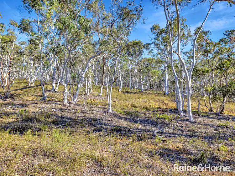Fourth view of Homely land listing, Lot 1 Hill End Road, Tambaroora NSW 2850