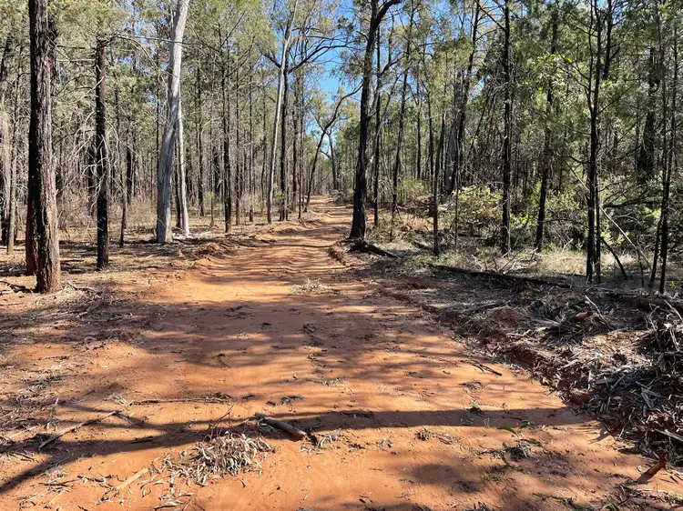 Fourth view of Homely rural property listing, 921 Westport Rd, Narrabri NSW 2390