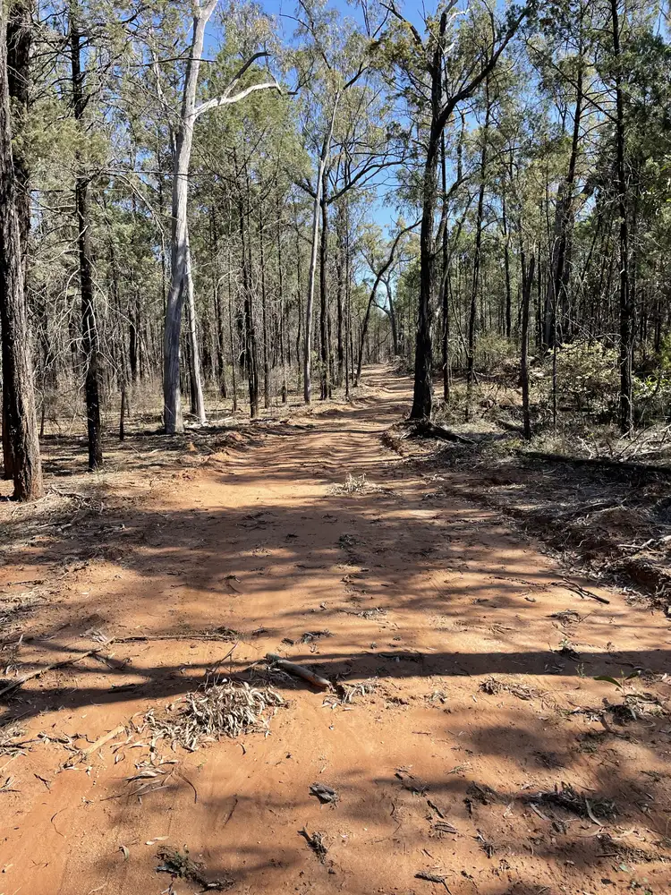 Fifth view of Homely rural property listing, 921 Westport Rd, Narrabri NSW 2390