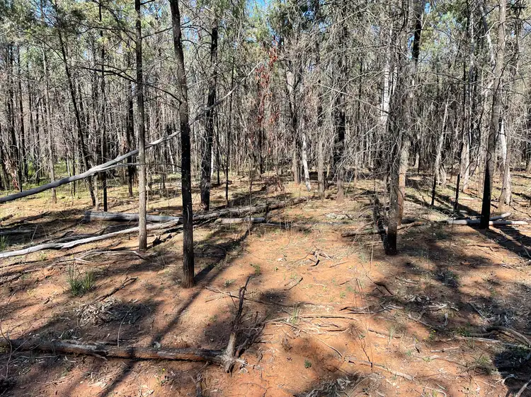 Sixth view of Homely rural property listing, 921 Westport Rd, Narrabri NSW 2390