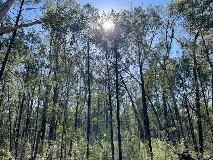 Seventh view of Homely rural property listing, 921 Westport Rd, Narrabri NSW 2390