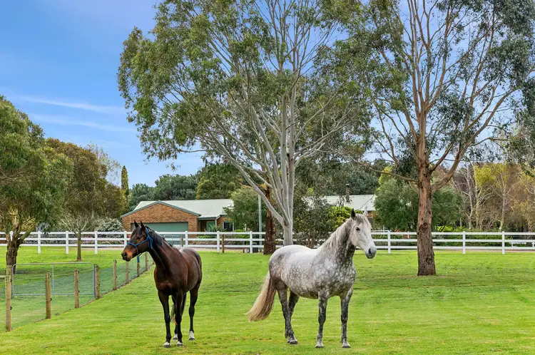 131-139 McKiernan Street, Drysdale VIC 3222