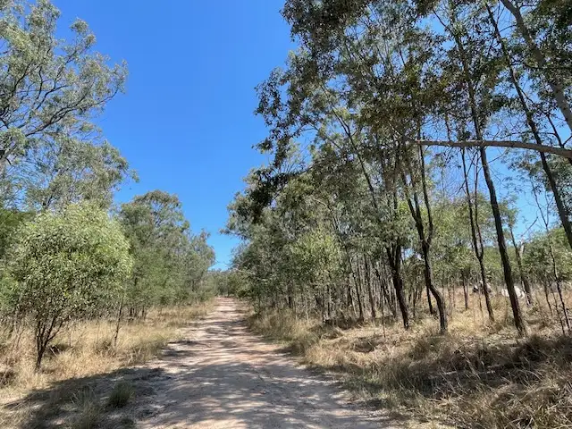 Fourth view of Homely rural property listing, 323 Glencoe Road, Coverty QLD 4613