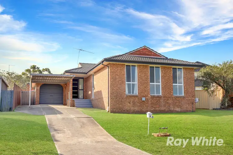 8 Erie Place, St Clair NSW 2759