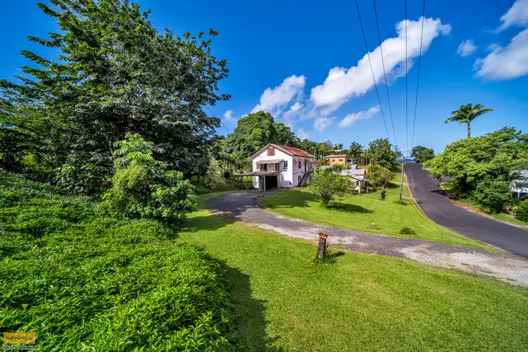 Main view of Homely house listing, 17 Scheu Street, East Innisfail QLD 4860