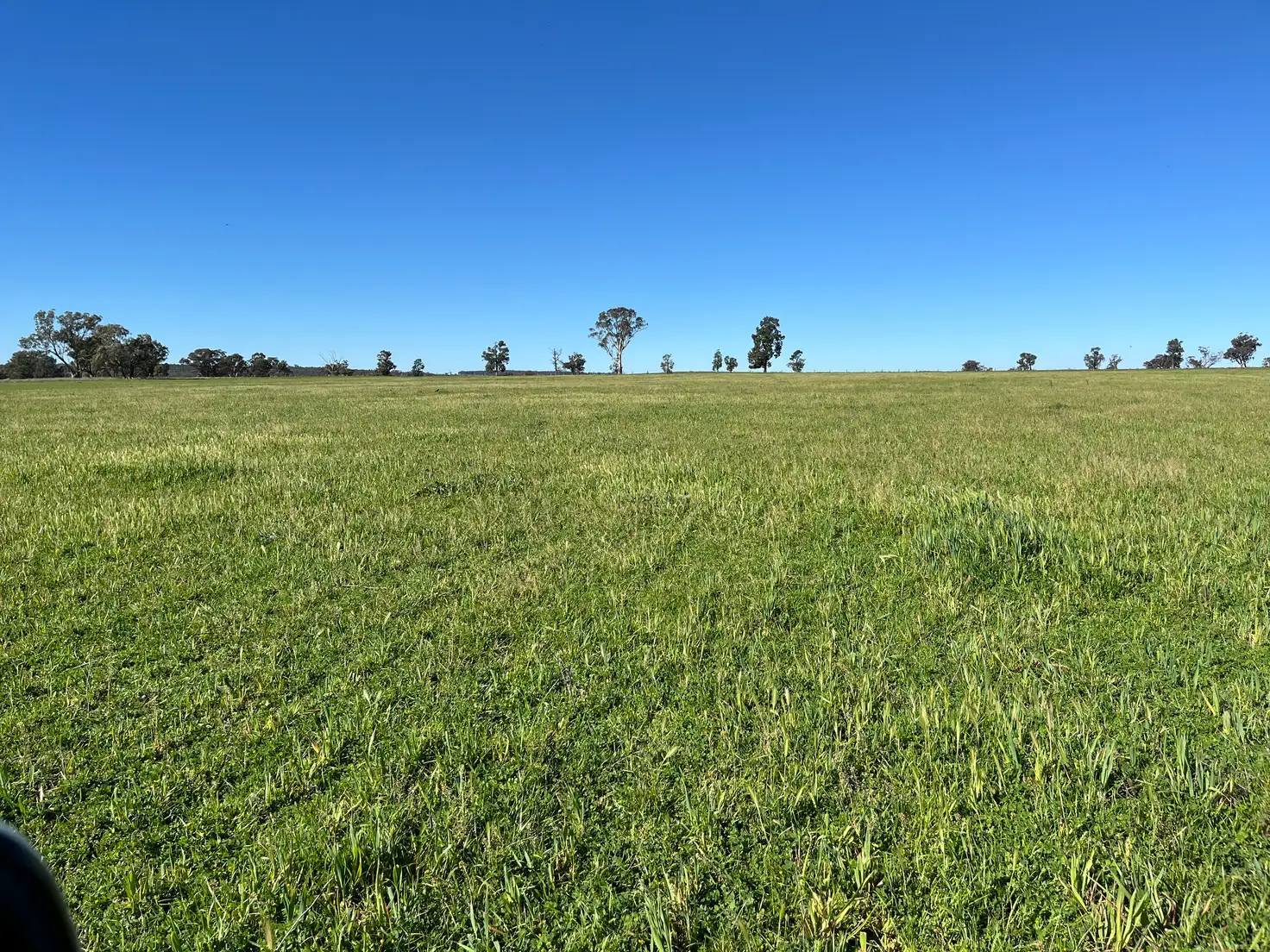 Main view of Homely rural property listing, "Piambra" 714 Piambra Road, Binnaway NSW 2395