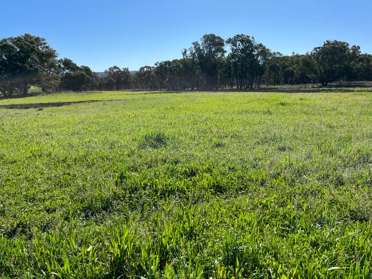 Second view of Homely rural property listing, "Piambra" 714 Piambra Road, Binnaway NSW 2395