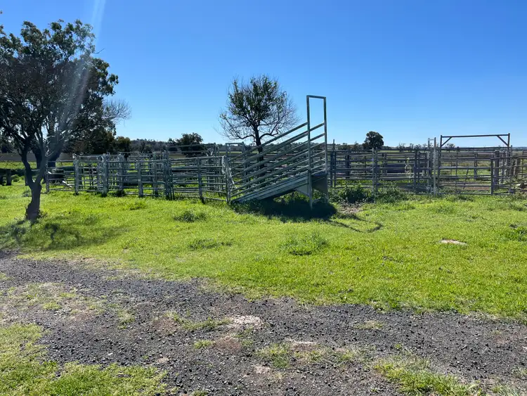 Fifth view of Homely rural property listing, "Piambra" 714 Piambra Road, Binnaway NSW 2395