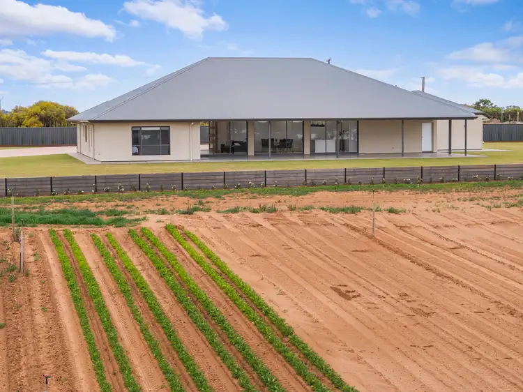 Second view of Homely house listing, 123 Elephant Trunk Road, Cobdogla SA 5346