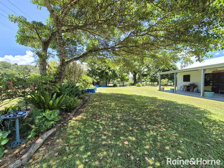 Seventh view of Homely house listing, 7 Power Street, Daintree QLD 4873