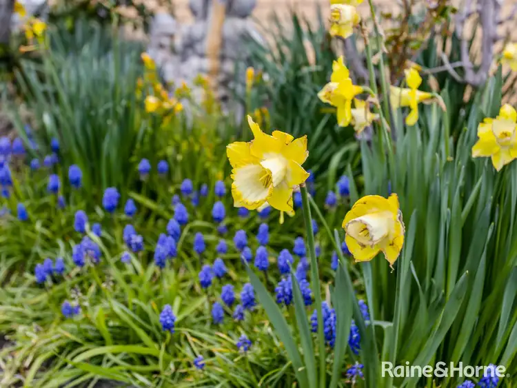 Fifth view of Homely house listing, 2 Sandrose Place, Kingston TAS 7050