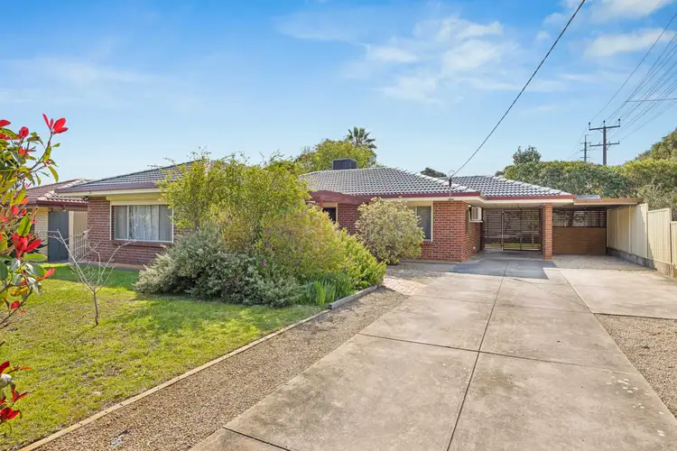 51 Kathleen Street, Morphett Vale SA 5162