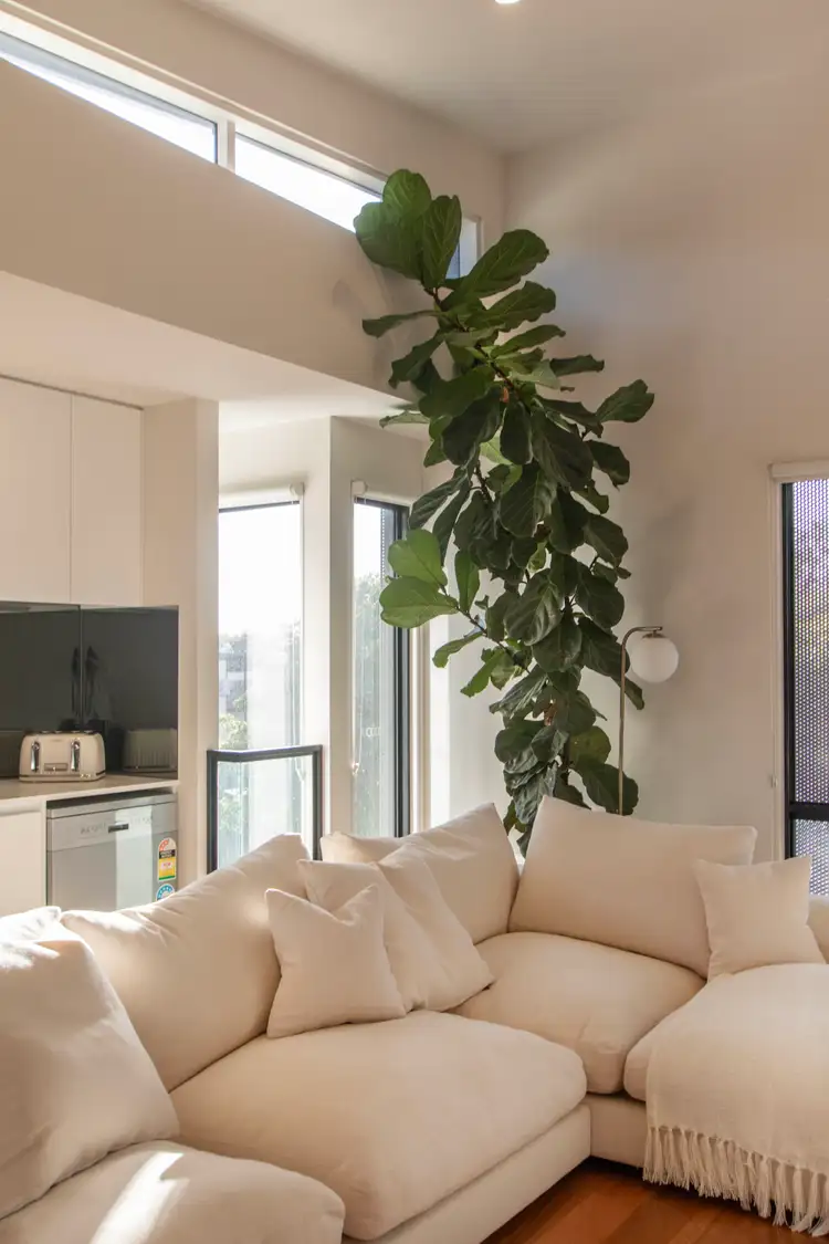 Fifth view of Homely townhouse listing, 3/431 Albion Street, Brunswick VIC 3056