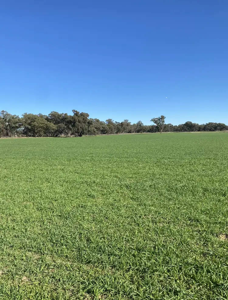 Seventh view of Homely rural property listing, "Carinya Park" 1158 Warrumbungles Way, Coolah NSW 2843