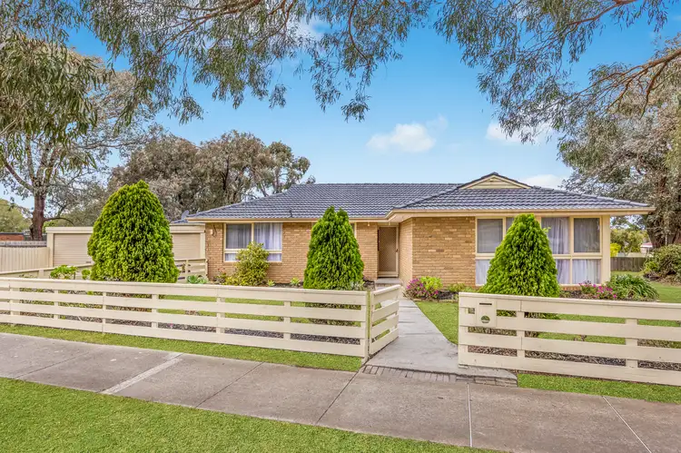 Main view of Homely house listing, 19 Roma Street, Scoresby VIC 3179