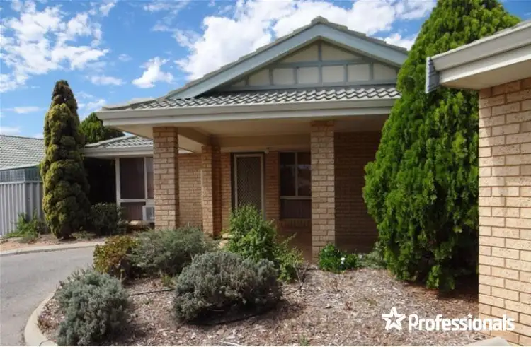 Main view of Homely unit listing, 3/4 McDermott Avenue, Wandina WA 6530
