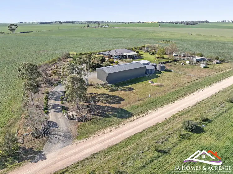 Main view of Homely rural property listing, 45 Lange Road, Freeling SA 5372