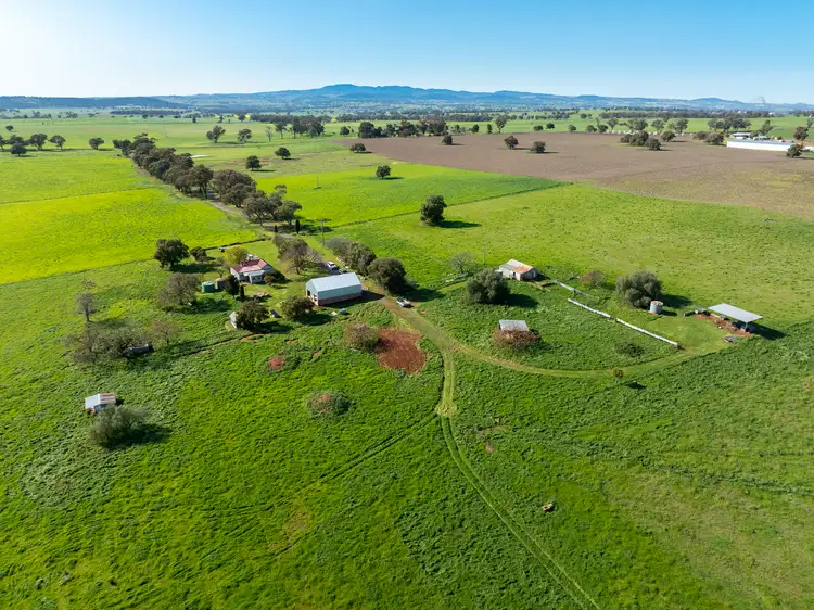 Fifth view of Homely rural property listing, 61 Attenborough Lane, Manildra NSW 2865
