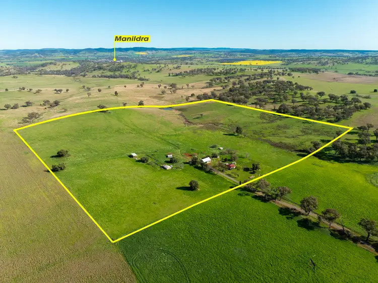 Seventh view of Homely rural property listing, 61 Attenborough Lane, Manildra NSW 2865