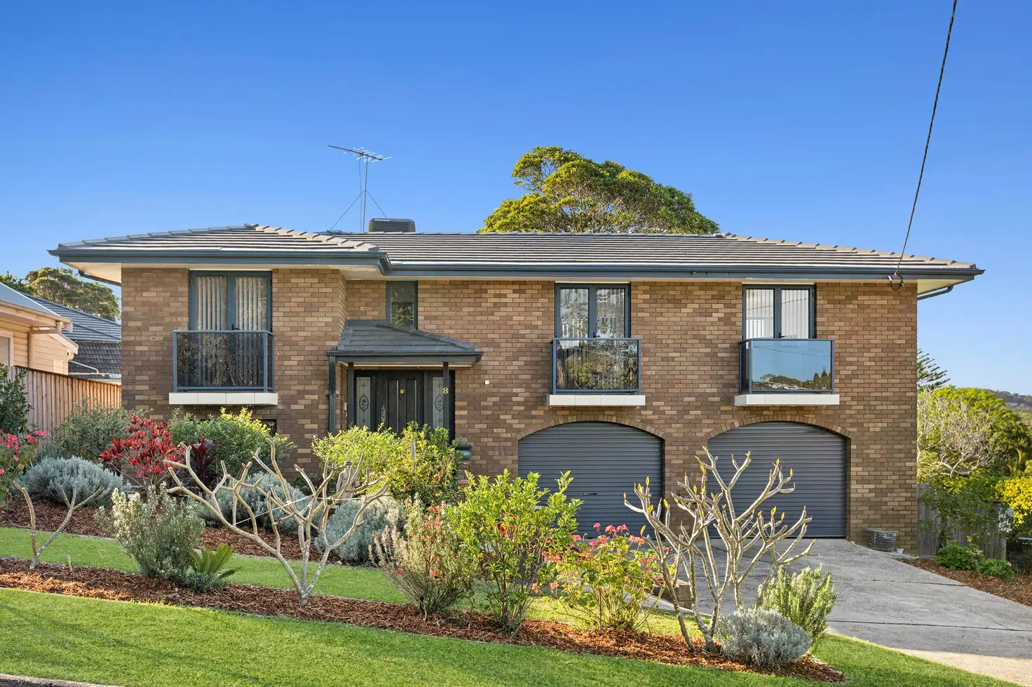 Main view of Homely house listing, 8 Jenkins Street, Mona Vale NSW 2103