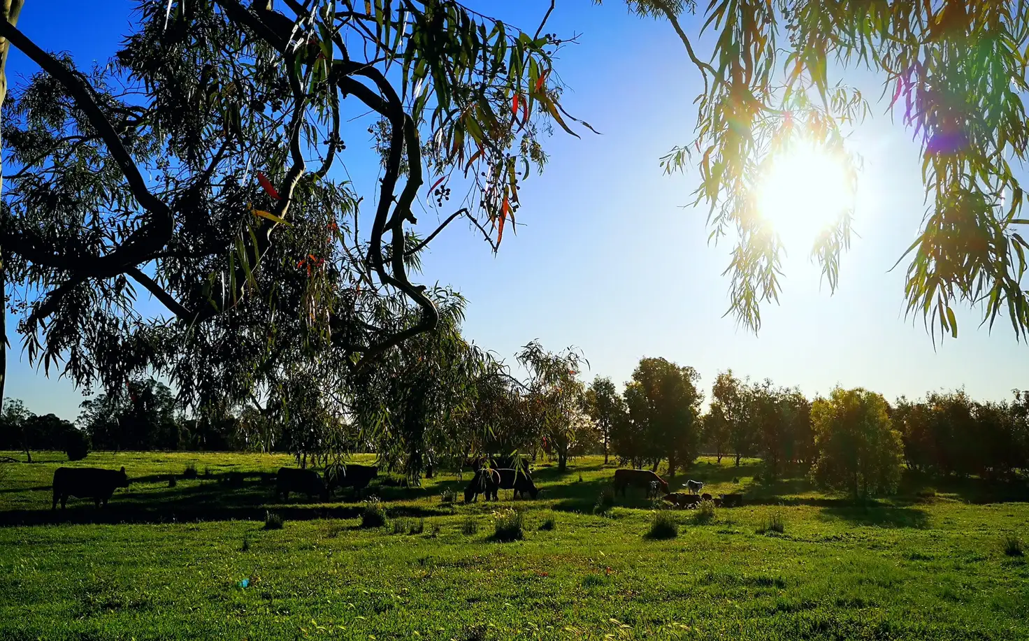 Main view of Homely rural property listing, 745 Balmattum North Road, Balmattum VIC 3666