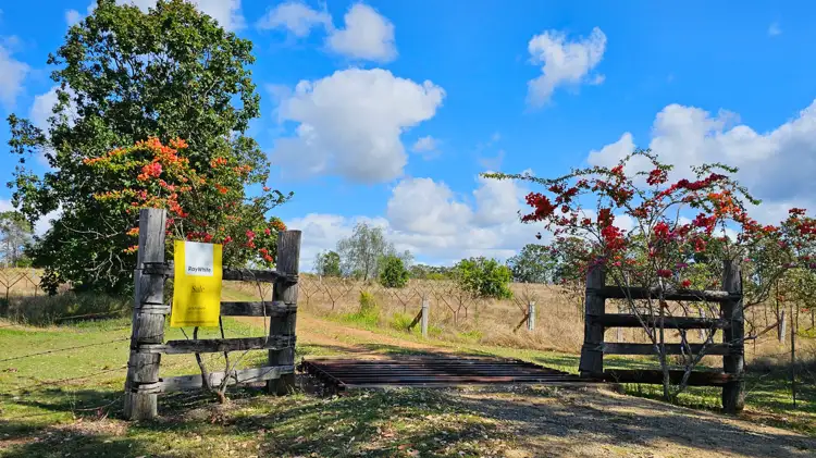 Main view of Homely rural property listing, 991 Mount Steadman Road, Mount Steadman QLD 4625