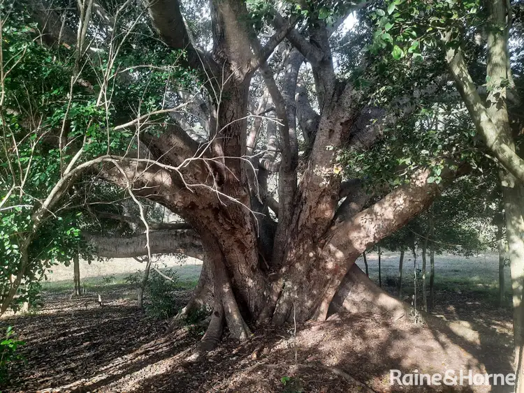 Sixth view of Homely land listing, Lot 2 Tunnel Road, Boolboonda QLD 4671