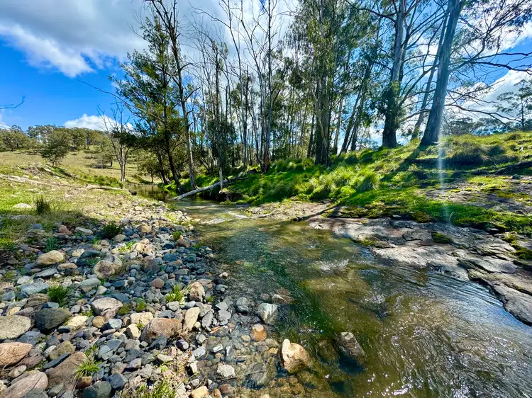 Seventh view of Homely rural property listing, "The Basins Nth" Chilcotts Creek Road, Willow Tree NSW 2339